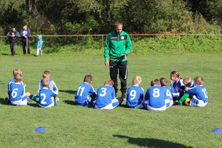 乐鱼体育直播在线-南非混合泳团队战术引热议，南非的混合农业